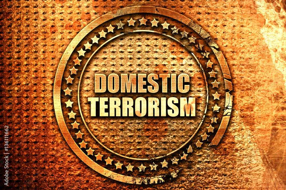 Did you know that NYS has a Domestic Terrorism Task Force?